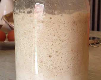 Könnte beinhalten: Ein klares Glasgefäß mit grünem Deckel, gefüllt mit einem hellbraunen, blubbernden Sauerteig.