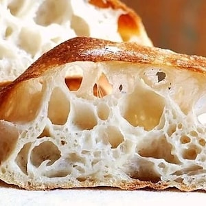 real sourdough yeast BEAST activ, very sour, hundreds of recipes included on web site