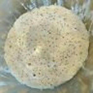 SOURDOUGH STARTER CALIFORNIA gOLD 100 yr old vERY sTRONG/aCTIVE extra sour (F)