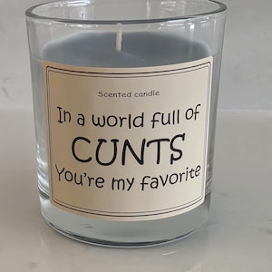 In a world full of CNUTS, Funny Gift, Funny Candle, Funny rude joke gift, Funny gift for friends, Birthday gift for colleague