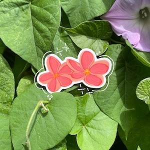 Plumeria Flower Sticker