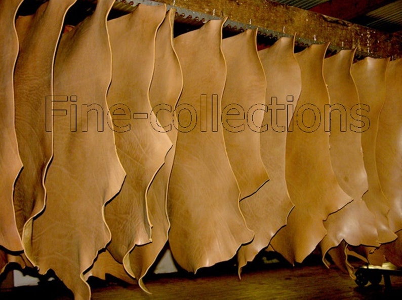 buyers of raw hides buyers of raw hides