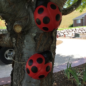 Large Lady Bugs pair. Yard and Garden
