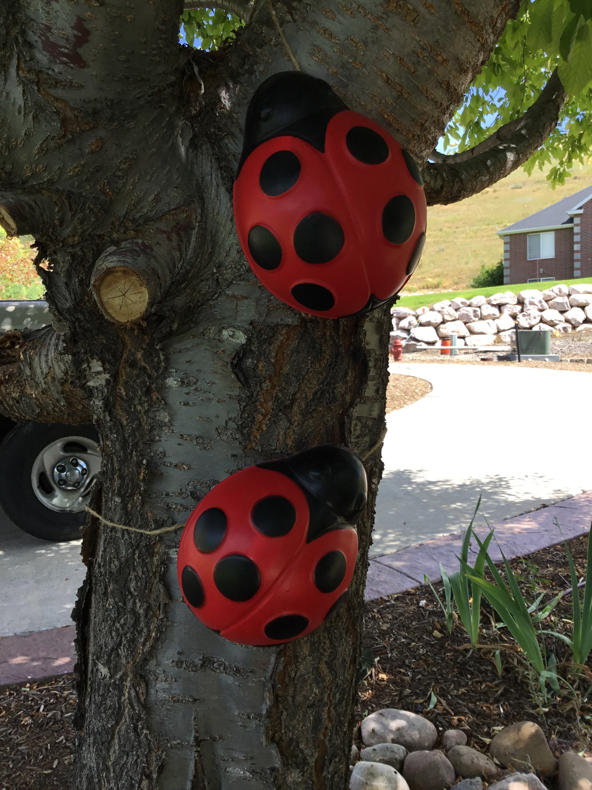 Adorned - Scarlet Garden Adornments (Barrettes) with Lady Bugs - NWT Red Ladybug Flatback Resin Craft Embellishments Hand-Painted  main image 2