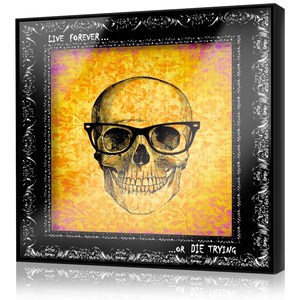 CRAZY GEORGE ATELIER Skull Handmade Framed Wall Decor - Etsy