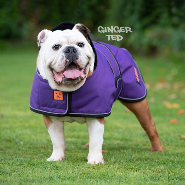 Manteau imperméable Bullldog Frenchie - Ginger Ted Shower Bulldog / Veste / Imperméable avec fente pour harnais, doublure polaire et passepoil réfléchissant