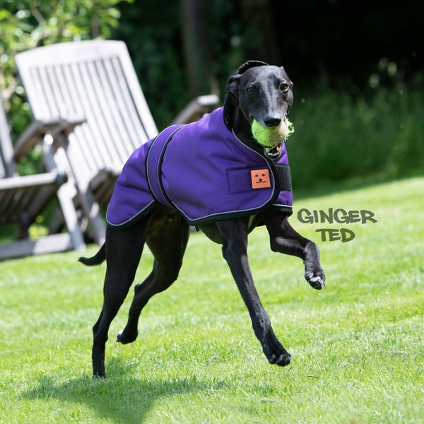 Waterproof Greyhound Whippet - Ginger Ted Greyhound Shower Coat with Reflective Piping, Fleece Lining and Optional Harness slot