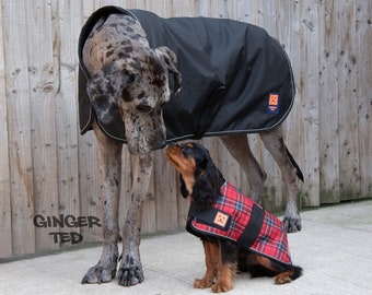 Dog clothing \u0026 accessories for all 