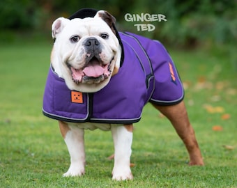 Bullldog Frenchie Waterproof Coat - Ginger Ted Shower Bulldog / Jacket / Raincoat with Harness Slot, Fleece Lining & Reflective Piping