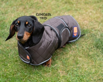dachshund rain mac