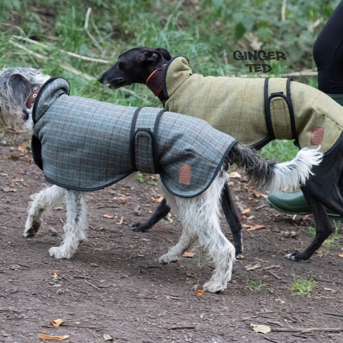 chinchilla cage second hand