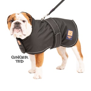 Manteau imperméable Bullldog Frenchie Ginger Ted Shower Bulldog / Veste / Imperméable avec fente pour harnais, doublure polaire et passepoil réfléchissant Black