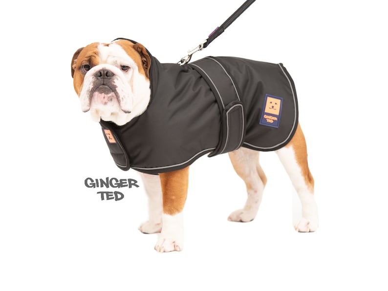 Manteau imperméable Bullldog Frenchie Ginger Ted Shower Bulldog / Veste / Imperméable avec fente pour harnais, doublure polaire et passepoil réfléchissant Black