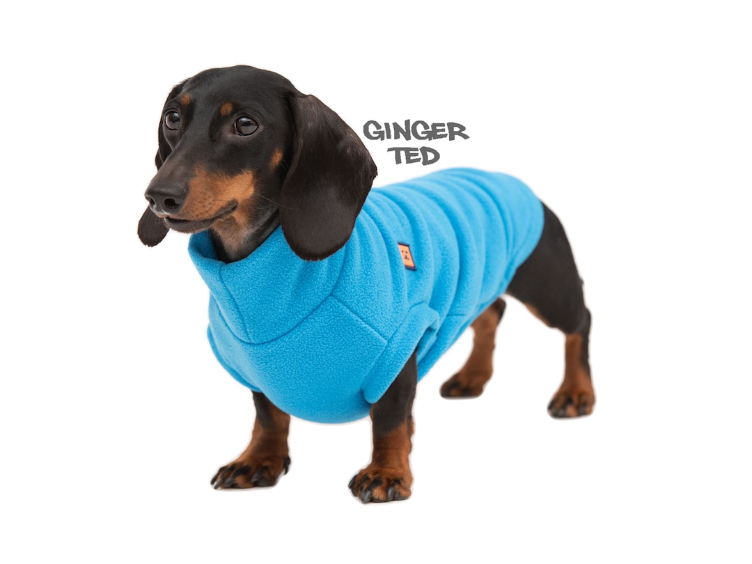 Dachsie Jumper Dachshund Coats And Jumpers Oasis Sausage Dog Jumper