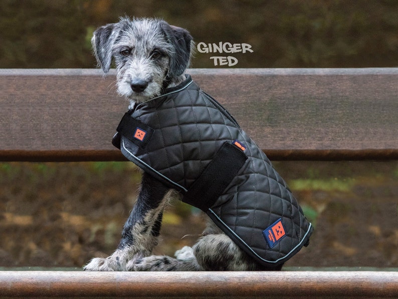 Warm Harness Dog Coat Ginger Ted Coat Thermal Quilted Coat / Etsy UK