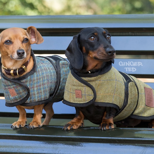 Dachshund Jacket Etsy