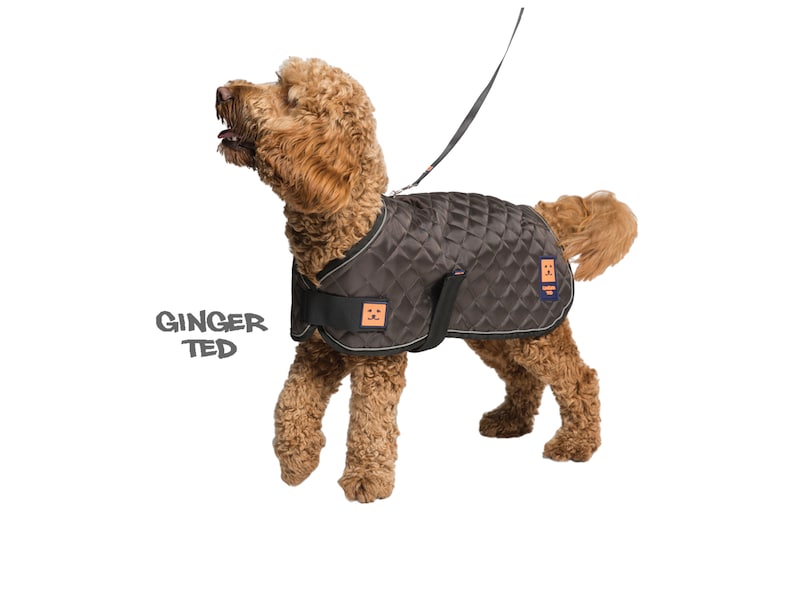 Warm Harness Dog Coat Ginger Ted Coat Thermal Quilted Coat / Etsy UK