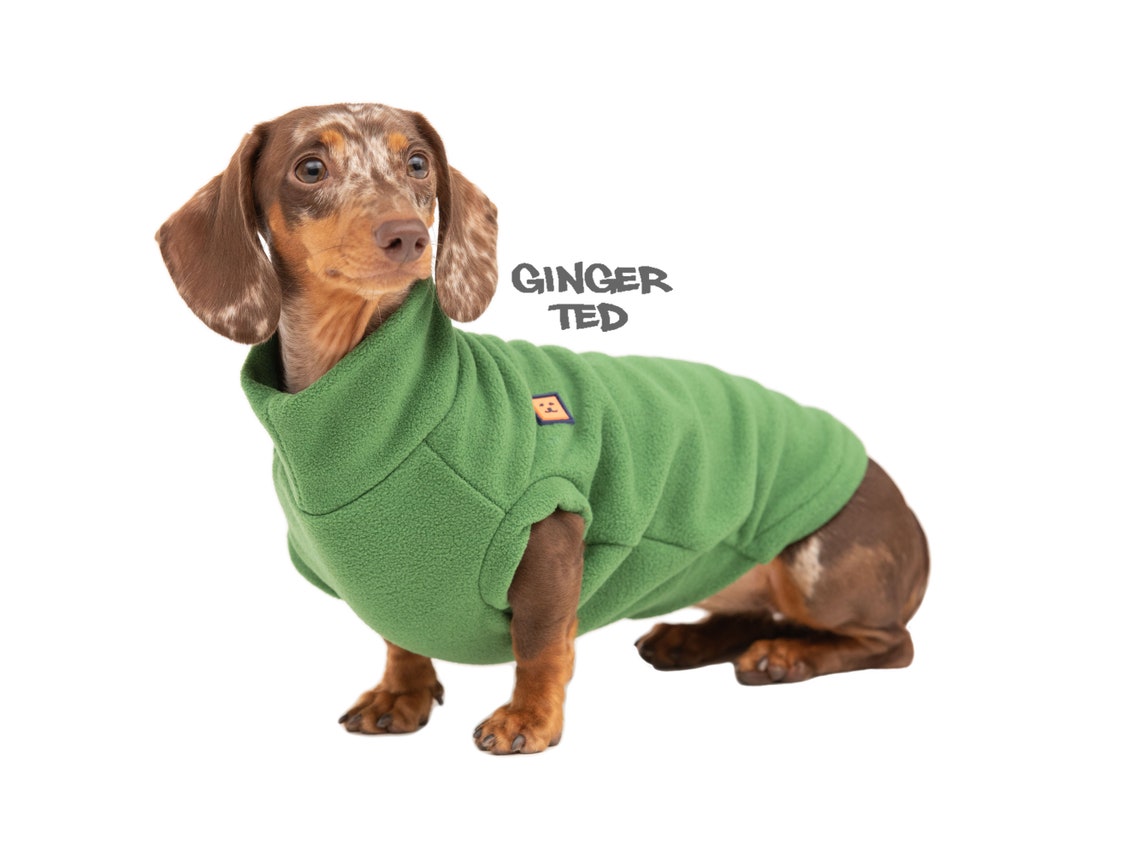 Dachshund Fleece Jumper Ginger Ted Cosy Fleece Jumper / Etsy UK