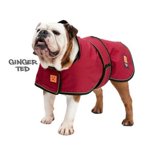 Manteau imperméable Bullldog Frenchie Ginger Ted Shower Bulldog / Veste / Imperméable avec fente pour harnais, doublure polaire et passepoil réfléchissant Cherry Red