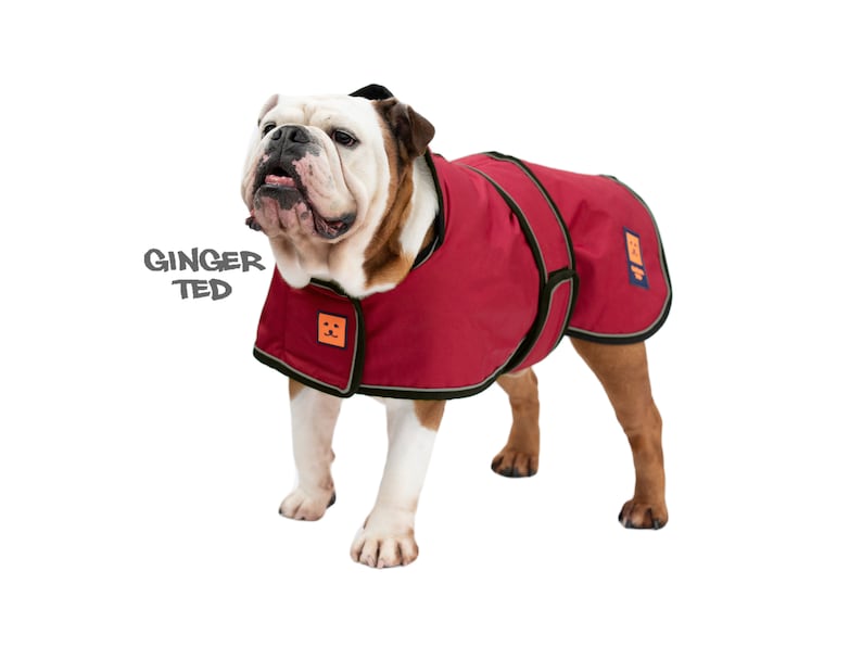 Manteau imperméable Bullldog Frenchie Ginger Ted Shower Bulldog / Veste / Imperméable avec fente pour harnais, doublure polaire et passepoil réfléchissant Cherry Red