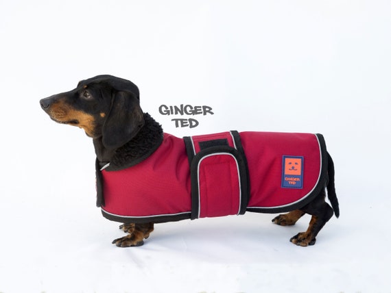 size 16inch 41cm Purple Ginger Ted Shower Waterproof Dachshund Dog Coat Medium