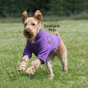 Cosy Fleece Dog Jumper Small/Medium Sizes - Ginger Ted Warm Sweater, Windproof, Breathable, Quick Drying, Washable & Anti Pilling