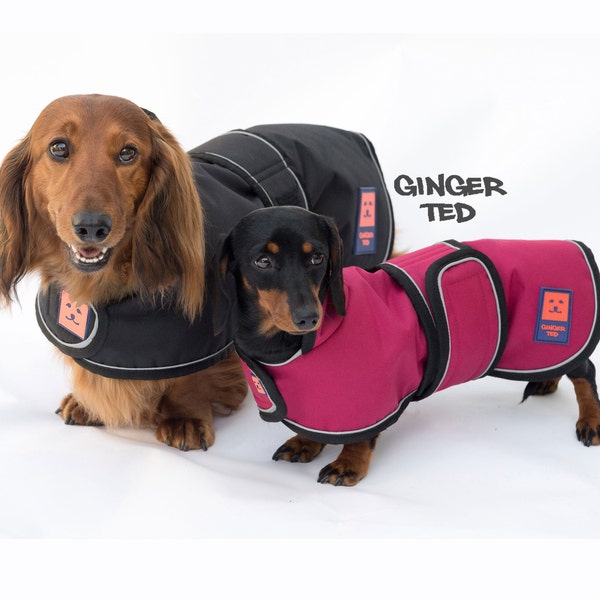 Dachshund Jacket Etsy