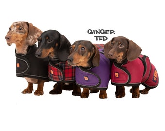 Dachshund Waterproof Coat - Ginger Ted Shower Dachshund Coat / Jacket / Raincoat with Reflective Piping, Optional Harness Slot Fleece Lining