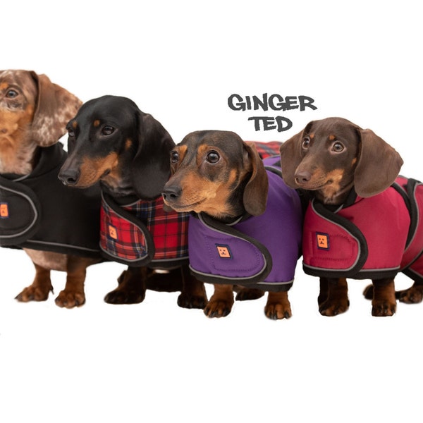 Dachshund Jacket Etsy