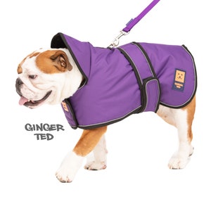Manteau imperméable Bullldog Frenchie Ginger Ted Shower Bulldog / Veste / Imperméable avec fente pour harnais, doublure polaire et passepoil réfléchissant Purple