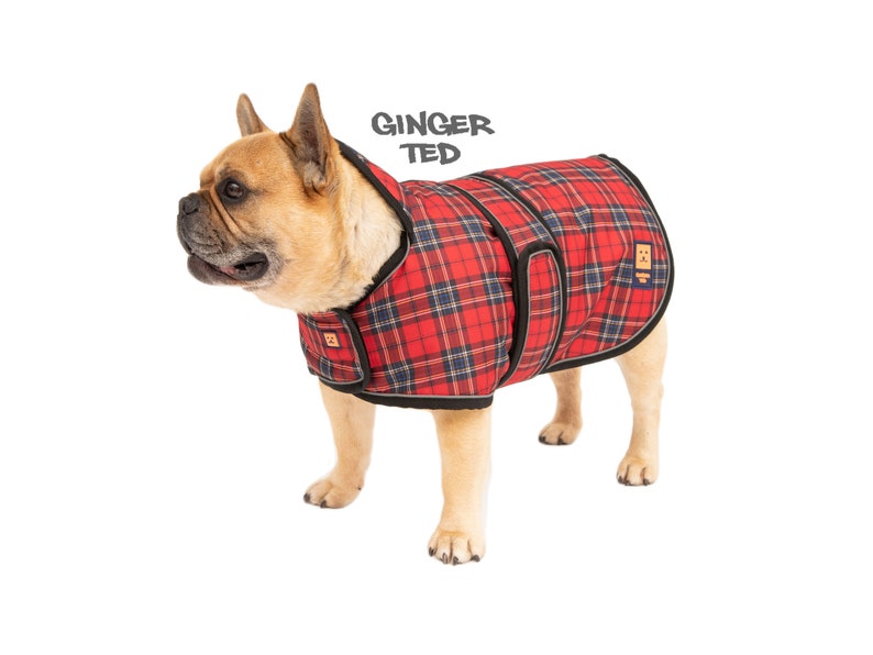 Manteau imperméable Bullldog Frenchie Ginger Ted Shower Bulldog / Veste / Imperméable avec fente pour harnais, doublure polaire et passepoil réfléchissant Red Tartan