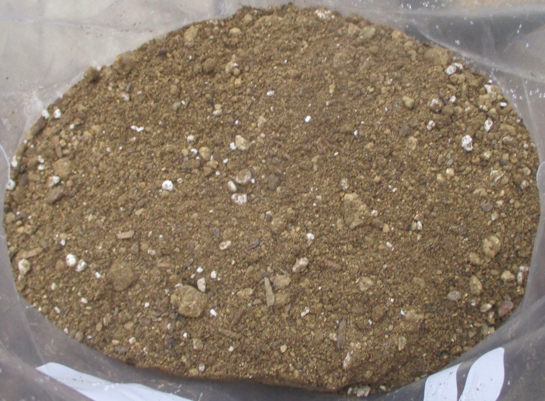 Soil Mix for Lithops and Other Mesembs FREE SHIPPING Etsy