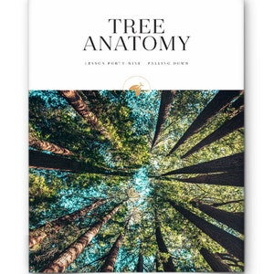 May include: A close-up view looking up at the tops of tall trees in a forest. The trees have green leaves and brown bark. The sky is visible through the branches. The text "TREE ANATOMY LESSON FORTY-NINE FALLING DOWN" is at the top of the image.