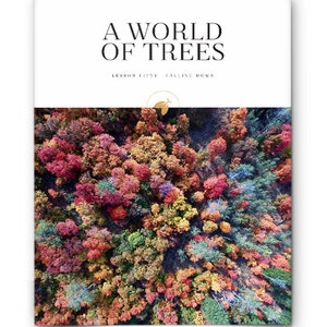 May include: An aerial view of a forest in autumn. The trees are a mix of red, orange, yellow, and green. The image is titled "A World of Trees, Lesson Fifty: Falling Down".
