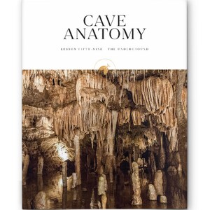 Firefly Nature School - Lesson - The Underground - Cave Anatomy