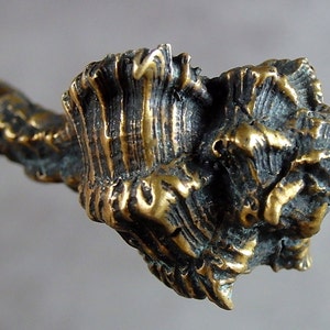 May include: Close-up of a bronze seashell sculpture. The sculpture has a textured surface with a mix of gold and dark bronze tones. The seashell is intricately detailed, showcasing the natural form and texture of a seashell.
