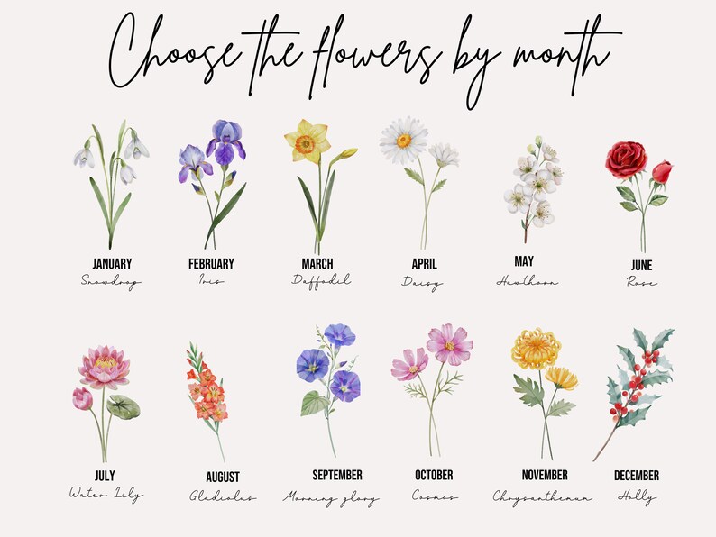May include: A chart showing a different flower for each month of the year. The flowers are illustrated in watercolor style. The months are listed below each flower with the name of the flower.
