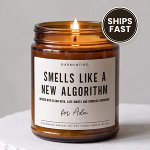 Data Scientist Candle, Smells Like a New Algorithm Gift, Programmer Present, Tech Humor, Coding Lover Decor, Analytics Desk Accent