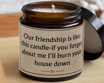 our friendship is like this candle-funny gift for friend funny candle gift-gift for friend-best friend gift-novelty candle message candle
