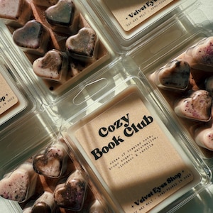 Cozy Book Club Soy Wax Melt: Toasted Nut, Cinnamon & Vanilla