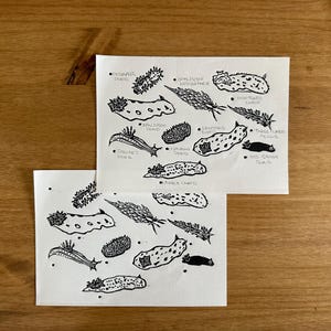 Nudibranch Print