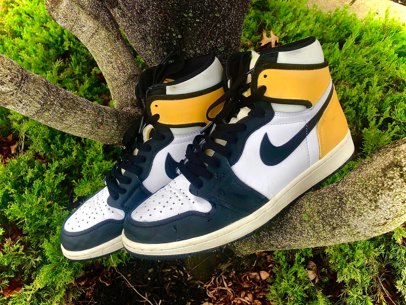 color changing aj1