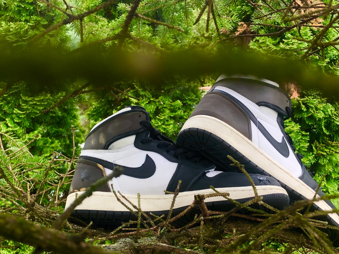 color changing aj1