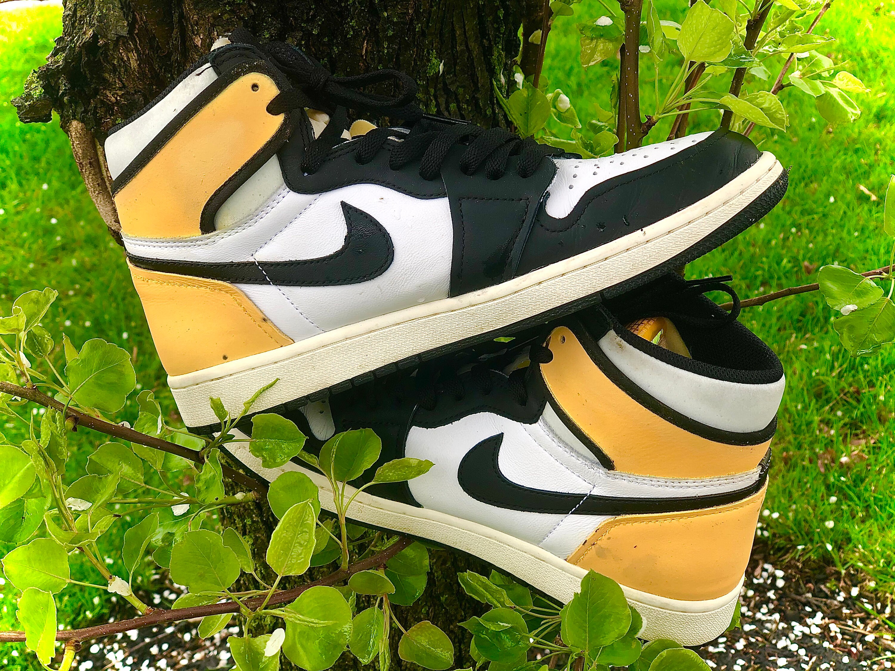 color changing aj1