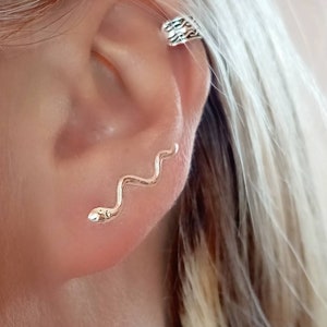 Snake Climbing Earrings, Snake Climber Earrings, Silver Climbers, Climbing Earrings, Snake Climbers, Reptile
