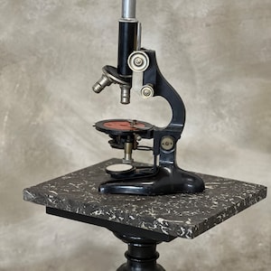 Antique Microscope Siebert Wetzlar Germany