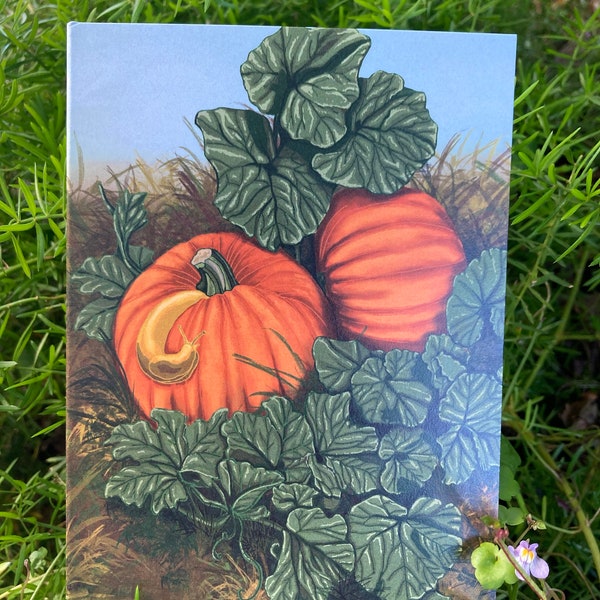 Pumpkin and Banana Slug Illustrated Fall/Autumn/Thanksgiving/Halloween Greeting Card-Blank Inside