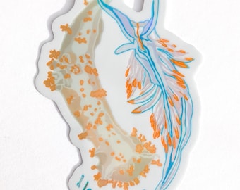 Illustrated Nudibranch Holographic 3" sticker waterproof vinyl