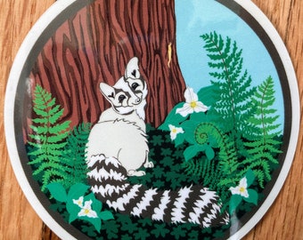 Ring-tailed Cat Sticker/Decal in the Redwood Forest with Trilliums