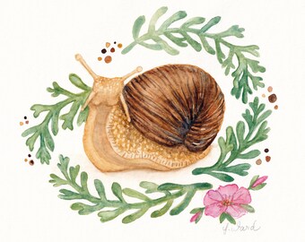 Floral Snail Watercolor Art Print